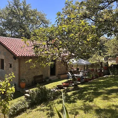 Casa Do Vigairo, En Plena Ribeira Sacra Casa de Férias Rebordaos