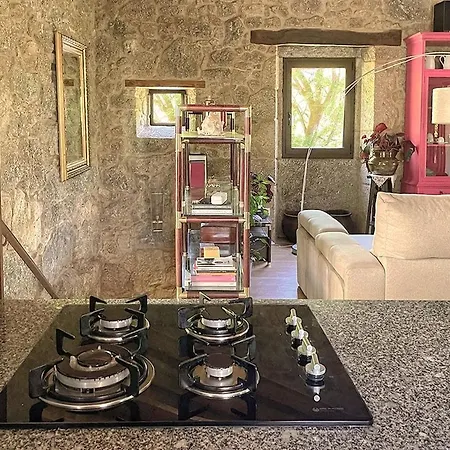 Casa Do Vigairo, En Plena Ribeira Sacra *